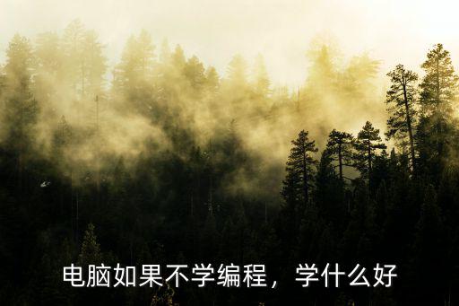 电脑如果不学编程，学什么好
