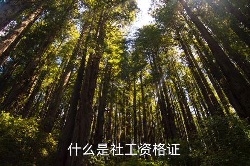 什么是社工资格证