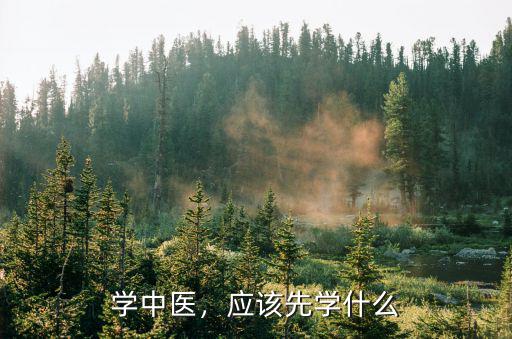 学中医，应该先学什么