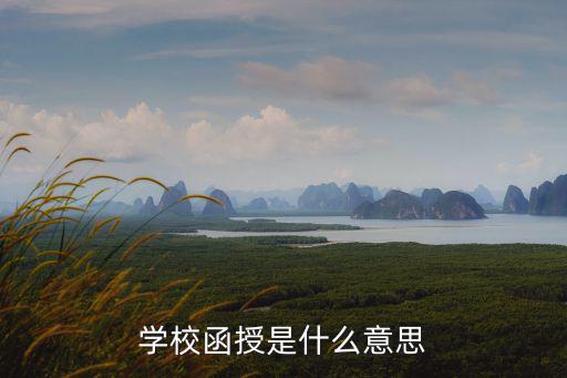 学校函授是什么意思