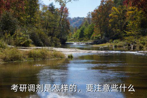 考研调剂是什么,考研调剂是怎么回事