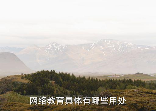 网络教育有什么用,网络教育的学历有用吗