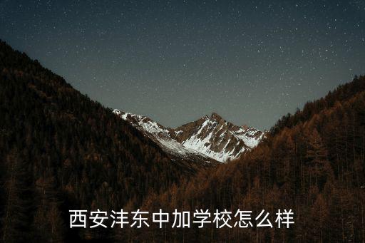 西安沣东中加学校怎么样