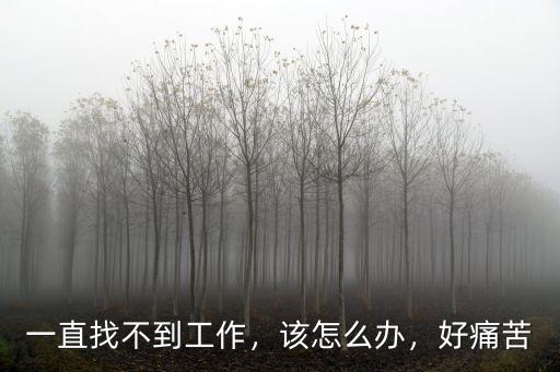 一直找不到工作，该怎么办，好痛苦
