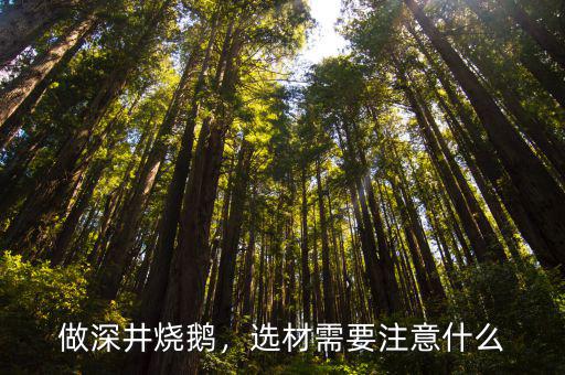 做深井烧鹅，选材需要注意什么
