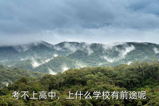 考不上高中，上什么学校有前途呢