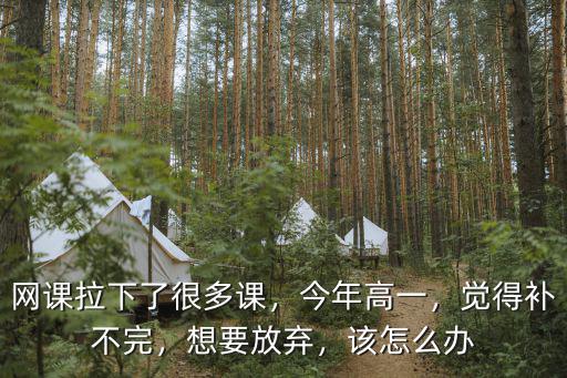 课很多怎么办,网课拉下了很多课