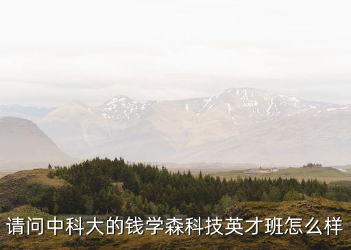 请问中科大的钱学森科技英才班怎么样