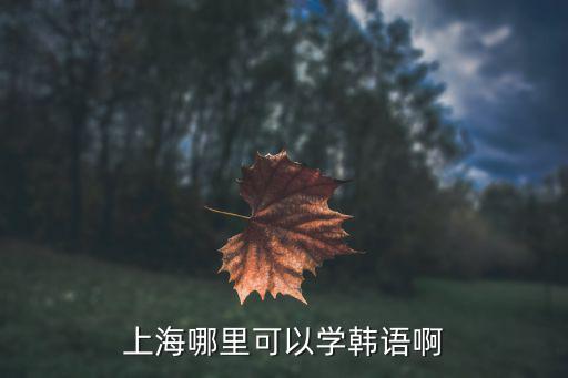 上海哪里可以学韩语啊