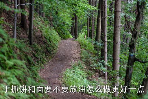 手抓饼和面要不要放油怎么做更好一点