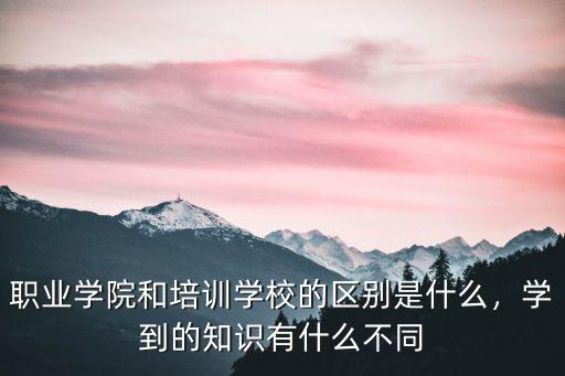 职业学院和培训学校的区别是什么，学到的知识有什么不同