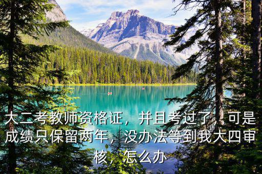 大二考教师资格证，并且考过了，可是成绩只保留两年，没办法等到我大四审核，怎么办