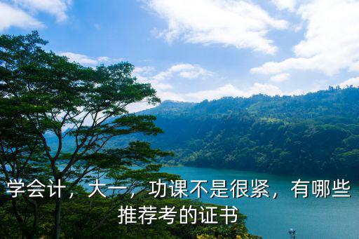 学会计，大一，功课不是很紧，有哪些推荐考的证书