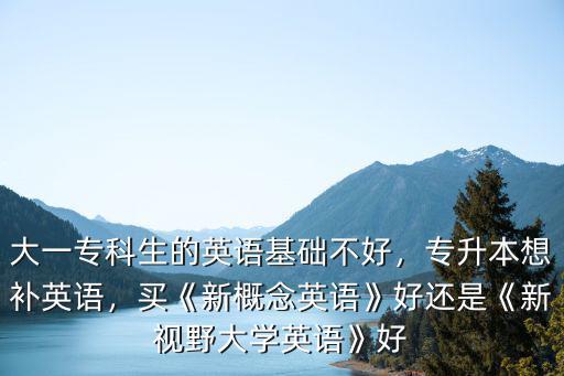 大一专科生的英语基础不好，专升本想补英语，买《新概念英语》好还是《新视野大学英语》好