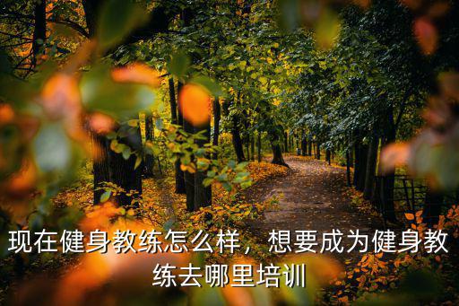杭州什么地方培训健身教练,想要成为健身教练去哪里培训