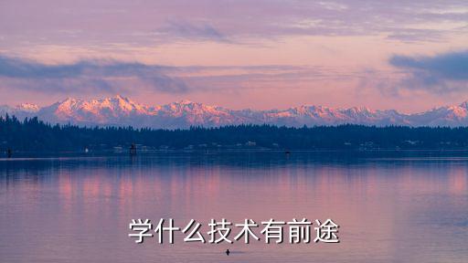2016学什么技术前景好,学什么技术有前途