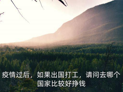 疫情过后，如果出国打工，请问去哪个国家比较好挣钱