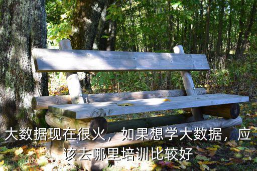大数据现在很火，如果想学大数据，应该去哪里培训比较好
