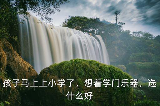 孩子马上上小学了，想着学门乐器，选什么好