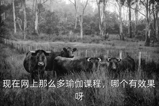 瑜伽有什么课程,现在网上那么多瑜伽课程