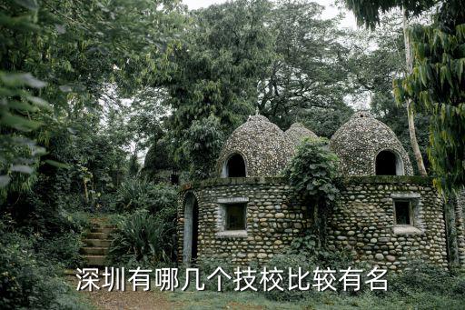 深圳有哪几个技校比较有名