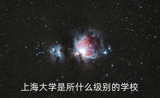 上海大学是所什么级别的学校