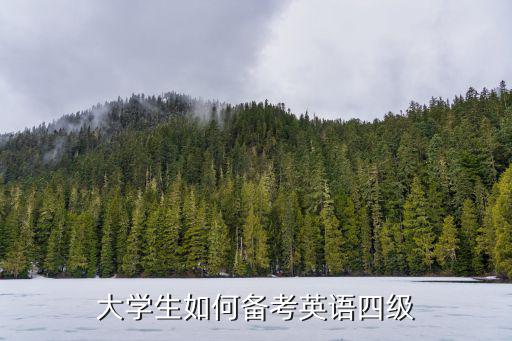 英语四级备考计划怎么写,关于大学英语四级怎么备考