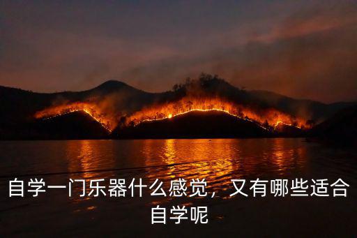 自学一门乐器什么感觉，又有哪些适合自学呢