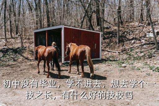 初中没有毕业，学不进去，想去学个一技之长，有什么好的技校吗