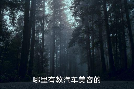 哪里有教汽车美容的