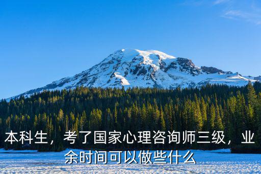 本科生，考了国家心理咨询师三级，业余时间可以做些什么