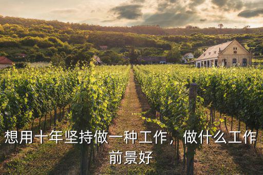 想用十年坚持做一种工作，做什么工作前景好