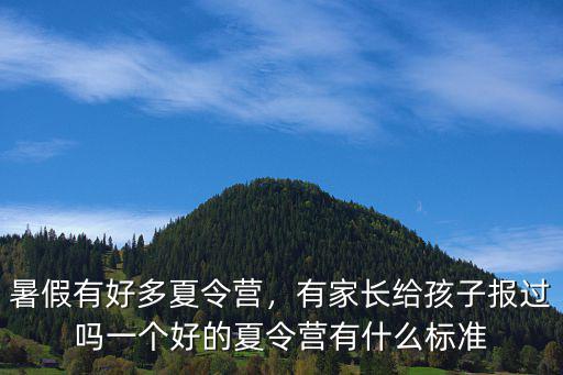 暑假有好多夏令营，有家长给孩子报过吗一个好的夏令营有什么标准