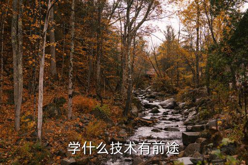 学什么技术有前途