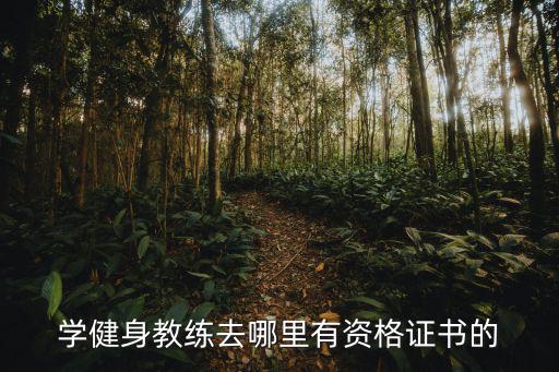 学健身教练去哪里有资格证书的
