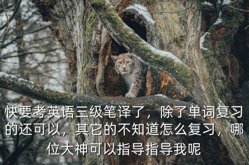 快要考英语三级笔译了，除了单词复习的还可以，其它的不知道怎么复习，哪位大神可以指导指导我呢