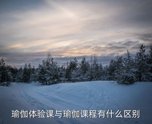 瑜伽体验课与瑜伽课程有什么区别