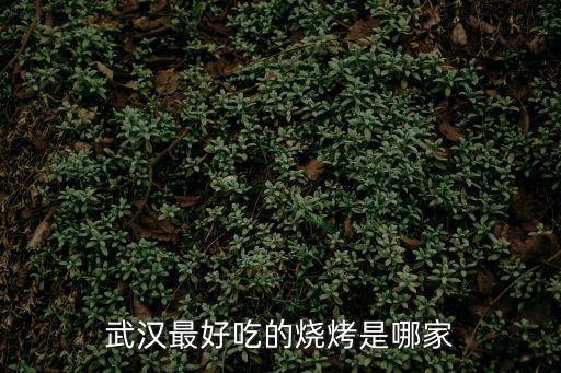 武汉最好吃的烧烤是哪家