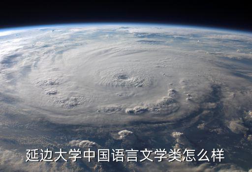 延边大学中国语言文学类怎么样