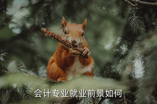 会计就业前景怎么样,会计职业前景如何