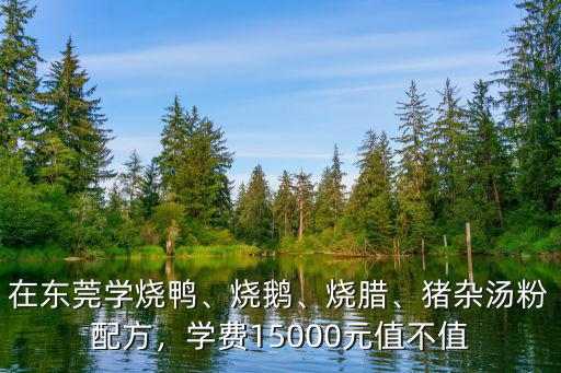 在东莞学烧鸭、烧鹅、烧腊、猪杂汤粉配方，学费15000元值不值