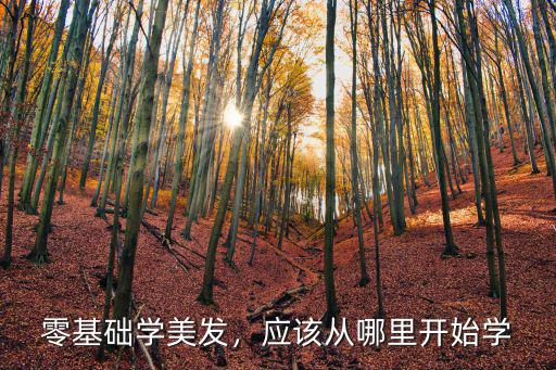 零基础学美发，应该从哪里开始学