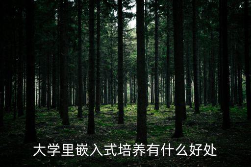 大学里嵌入式培养有什么好处