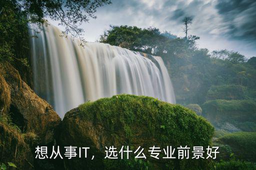 想从事IT，选什么专业前景好