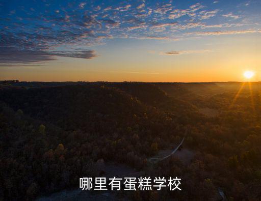 哪里有蛋糕学校