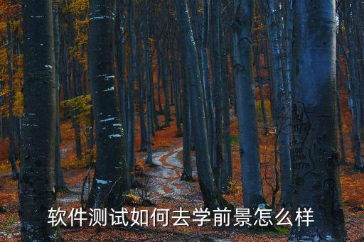 学码思软件测试怎么样,学软件测试技术需要培训吗