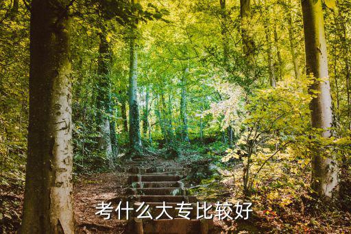 考什么大专比较好