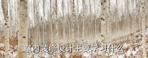 室内装修设计主要学习什么