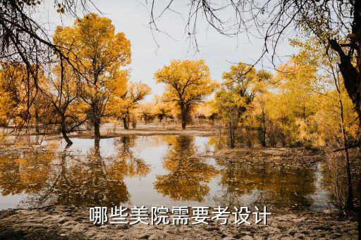 哪些美院需要考设计