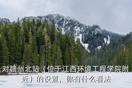 对赣州北站（位于江西环境工程学院附近）的设置，你有什么看法